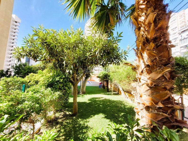 Foto ab886376-b9c2-429d-831d-815ecb802fe0. Apartament amb piscina a Juzgados - Plaza de Toros Benidorm
