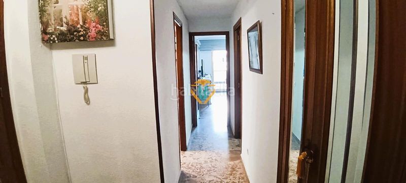 Foto 4565ebf5-f633-4d18-8305-59444197587a. Pis a Colonia Madrid Benidorm