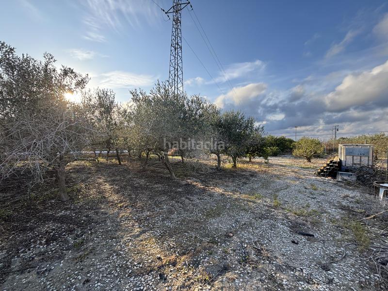 Foto 9b5a81c5-fa69-4e09-9a5e-ab7ac7ab7e3b. Masia amb aparcament a Nord Sant Carles de la Ràpita