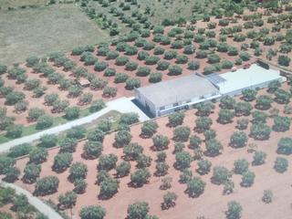 Location Bâtiment à usage industriel à Carrer de josep tarradelles 59. Nave industrial, en exelente estado de 7531 m2 de parcela y 614
