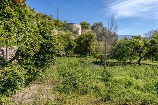 Finca rústica a Lúcar. Terrenito los naranjos a la venta en saleres!!!!!!!!!