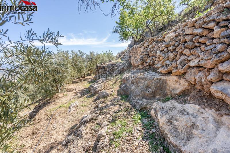 Foto 16e0c511-cdc0-44b5-bfc0-3d755e4a1850. Finca rústica terreno en pinos del valle en Lúcar