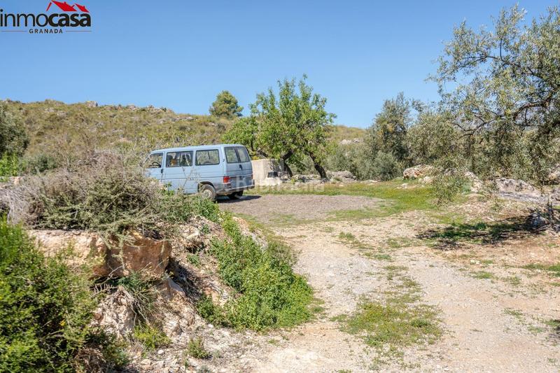 Foto 5b095fb8-4ade-49a6-a3fb-f7b2c6774faa. Finca rústica terreno en pinos del valle en Lúcar