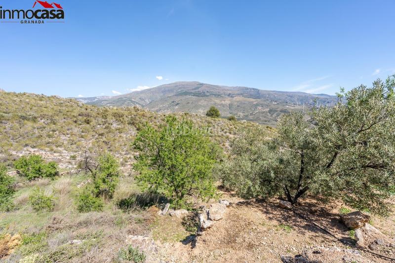 Foto c94b572d-e28c-46e1-99cc-d564c9a69411. Finca rústica terreno en pinos del valle en Lúcar