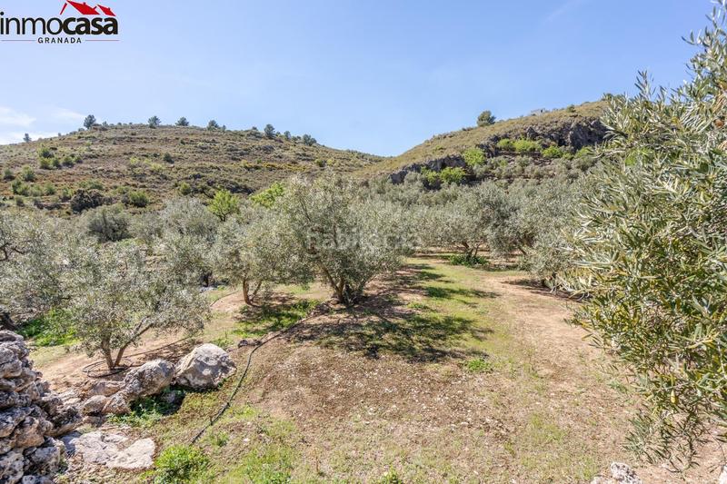 Foto d9fa10eb-c20c-4d76-bd7f-c6905b61f66c. Finca rústica terreno en pinos del valle en Lúcar