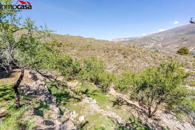 Foto ff8fb33b-4715-4ca8-a444-6a45bb673ab4. Finca rústica terreno en pinos del valle en Lúcar