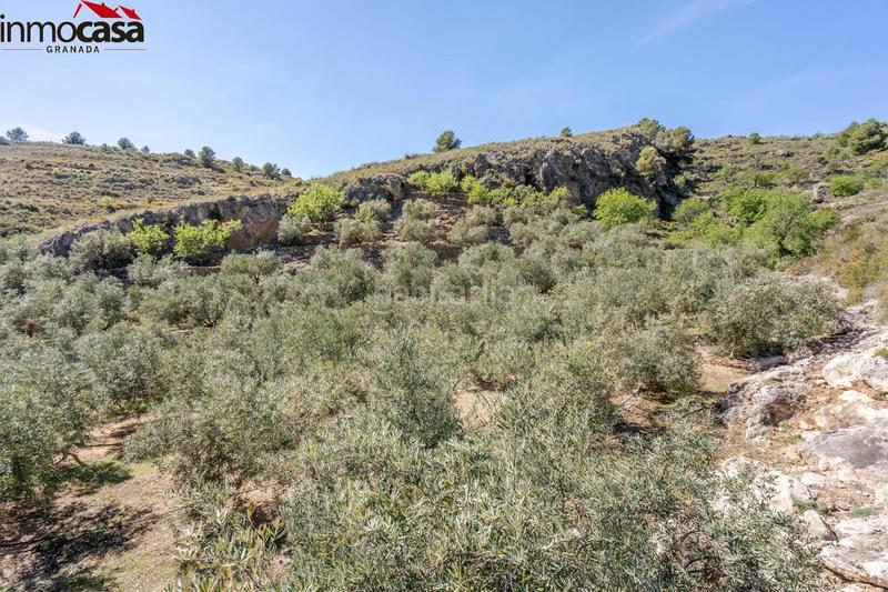 Foto 01bae012-3bc1-4ae2-a70b-93cc89eb772b. Fondo rustico in Lúcar