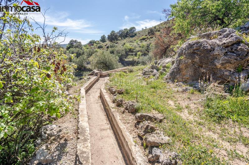 Foto 0bf2c16a-2f9f-40f1-ad26-8fe9470f3ba5. Fondo rustico in Lúcar