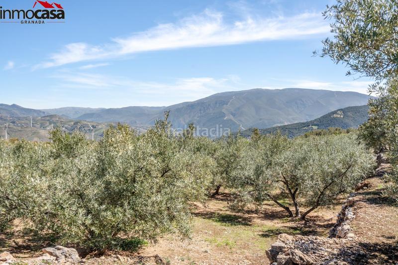 Foto 37e5e1b8-6963-4172-bf2e-fc2568f11e3b. Fondo rustico in Lúcar