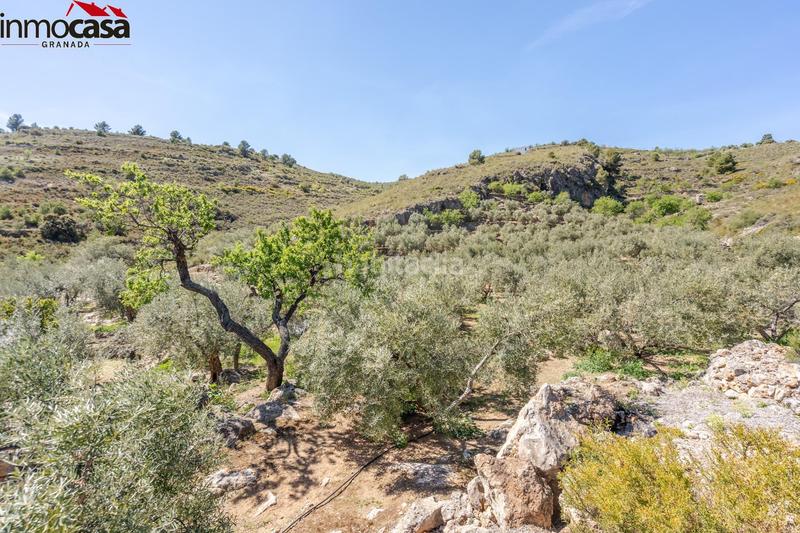 Foto 59176118-da3c-4c62-9f7a-52ae61eb0c2e. Fondo rustico in Lúcar