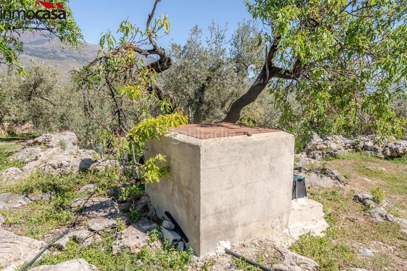 Foto 6965fbf7-445e-49ff-9c7a-f97b873ab0fb. Fondo rustico in Lúcar