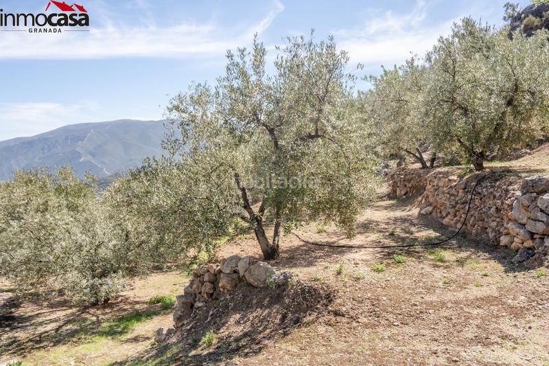 Foto 793a2cb2-96f7-4fe5-942c-36c639b8aa25. Fondo rustico in Lúcar