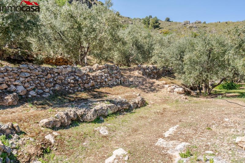 Foto 8b0a8c2b-26dd-48f6-89b2-383403803808. Fondo rustico in Lúcar