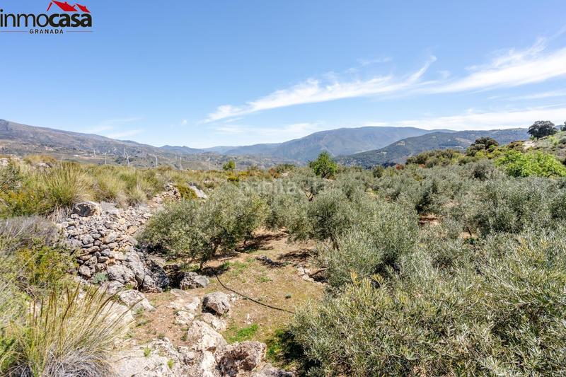 Foto c0c7d3e2-2fc1-4f70-a359-6e1d5be2ada5. Fondo rustico in Lúcar