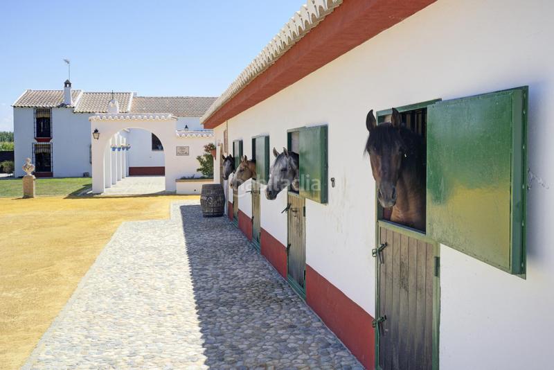 Foto 8ac0efc3-4809-4cad-a75e-ae0269e54146. Chalet cortijo tarquinal en Pinos Puente