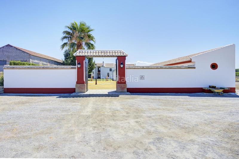 Foto bfd00808-cf7f-4670-9e3d-11b21da2c64a. Chalet cortijo tarquinal en Pinos Puente
