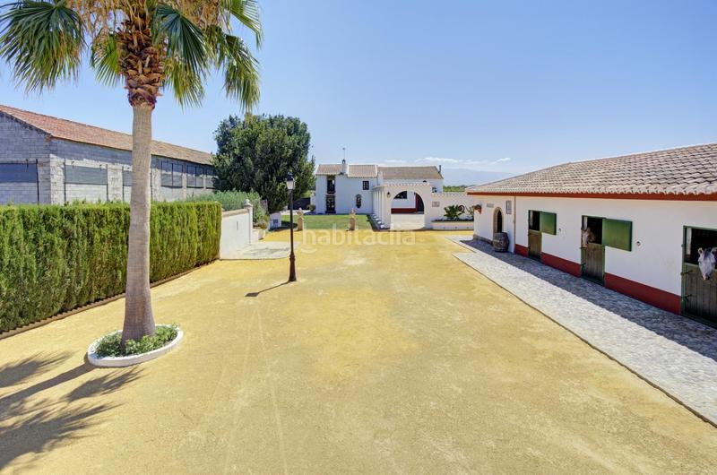 Foto d65ea729-1b51-4bcc-ad47-136257d4fc41. Chalet cortijo tarquinal en Pinos Puente
