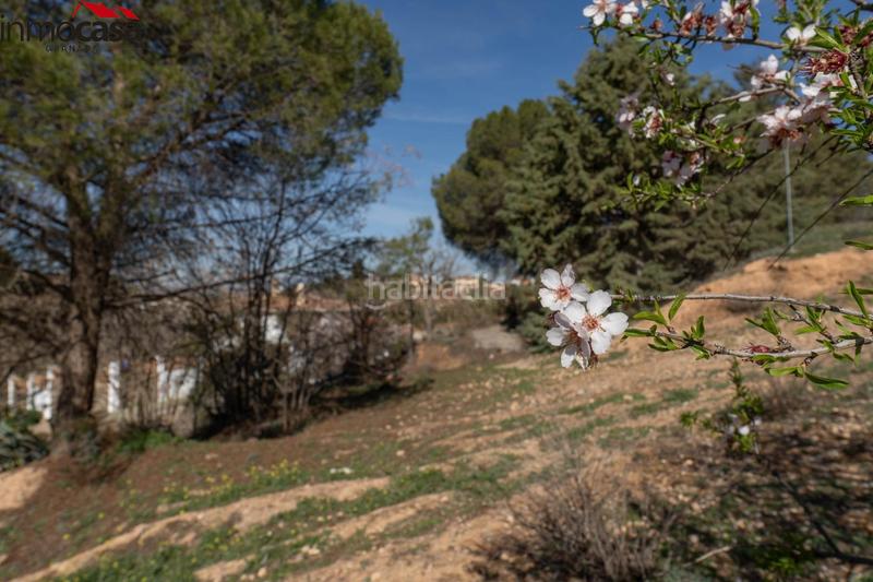 Foto 86ed26b9-baac-4660-a79c-915621b15462. Terreno residencial en Otura