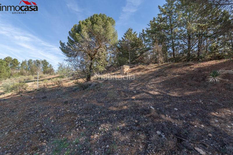 Foto cb40801d-2d85-4657-81f5-b8bd69dc2d21. Terreno residencial en Otura