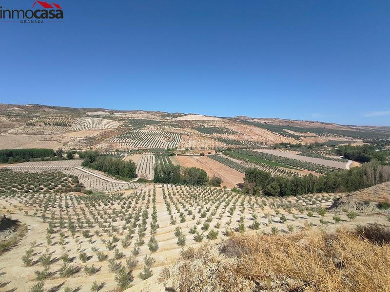 Foto 13d9ddd5-32d8-4ad8-ac5f-446e014e6b3a. Propriété dans Santa Cruz del Comercio