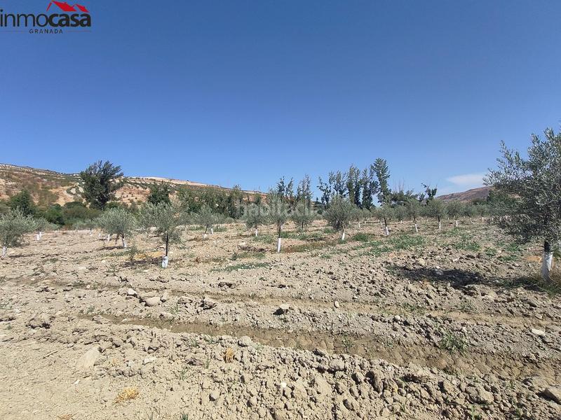 Foto 180914f4-049f-42e0-bacc-cd19d93893bc. Propriété dans Santa Cruz del Comercio