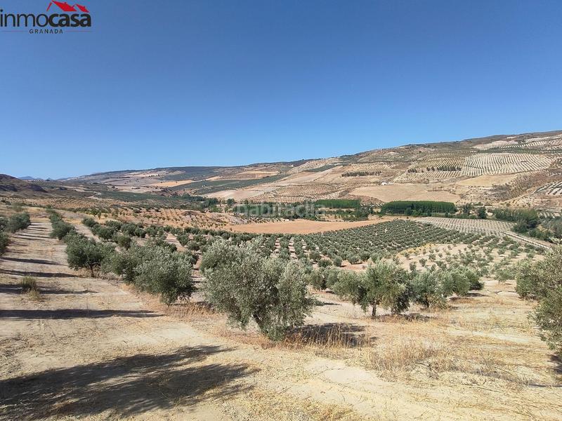 Foto 24b84be4-819b-4446-9859-dd1ce4bdd63f. Propriété dans Santa Cruz del Comercio