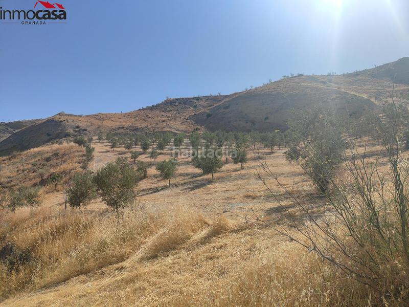 Foto 34004d07-b100-4200-b1e6-24a553dde2ea. Propriété dans Santa Cruz del Comercio