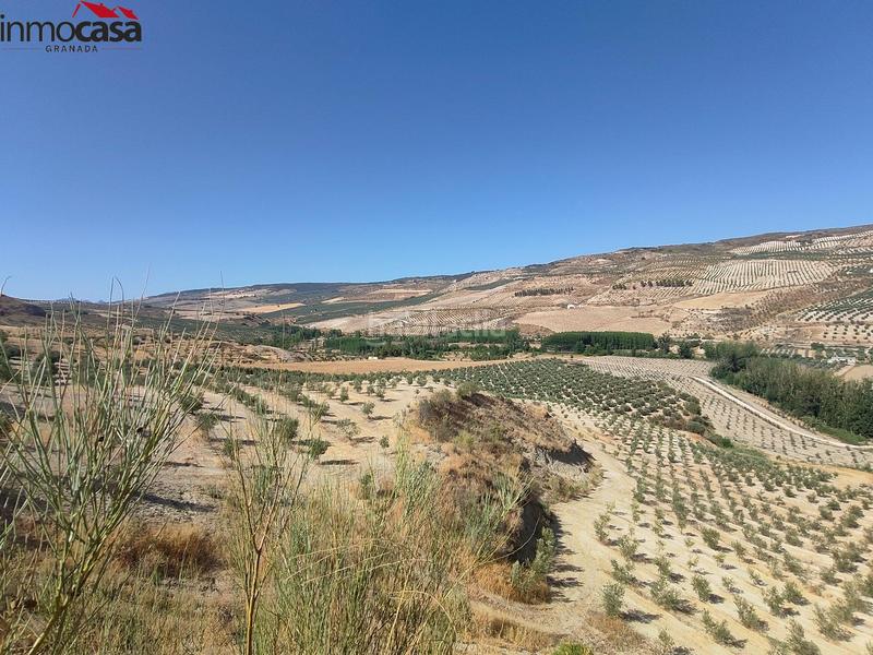 Foto 365a2db2-096b-46f8-ab17-c0e9e3870cf8. Propriété dans Santa Cruz del Comercio