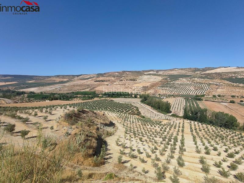 Foto 3be6a21a-9ec6-465e-82d8-b044b3e68c53. Propriété dans Santa Cruz del Comercio