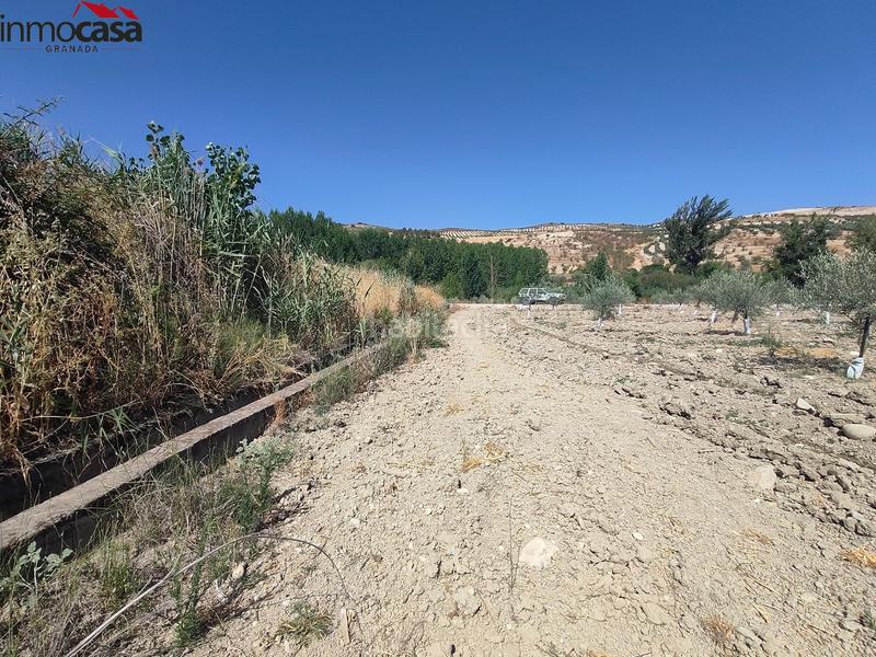 Foto 54b0fa7e-f868-4a52-bfaf-7d55a5940651. Propriété dans Santa Cruz del Comercio