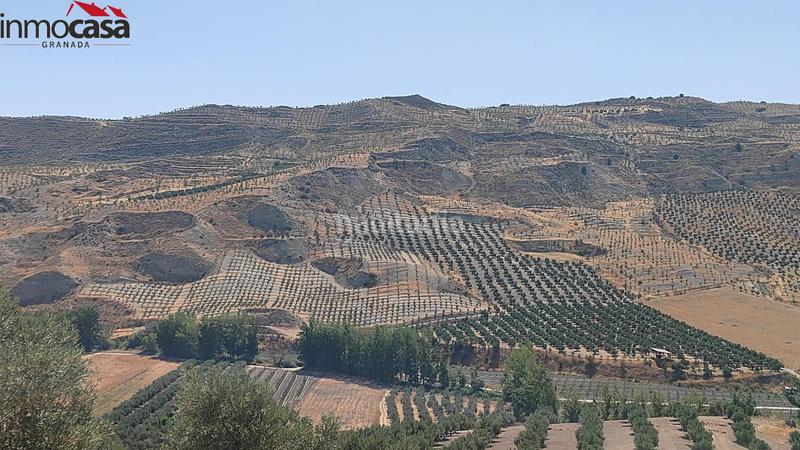 Foto 63d26c8e-84be-48bc-949f-d423654c516f. Propriété dans Santa Cruz del Comercio