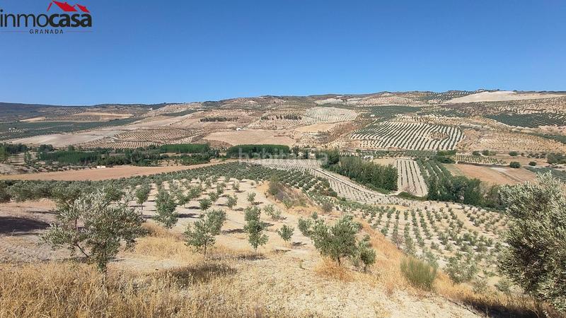 Foto 76fa3bee-7a98-42e9-bb71-9d338ced4b88. Propriété dans Santa Cruz del Comercio