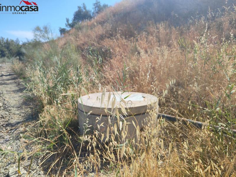 Foto 844d3a7f-967b-436e-bba7-9f8916335297. Propriété dans Santa Cruz del Comercio