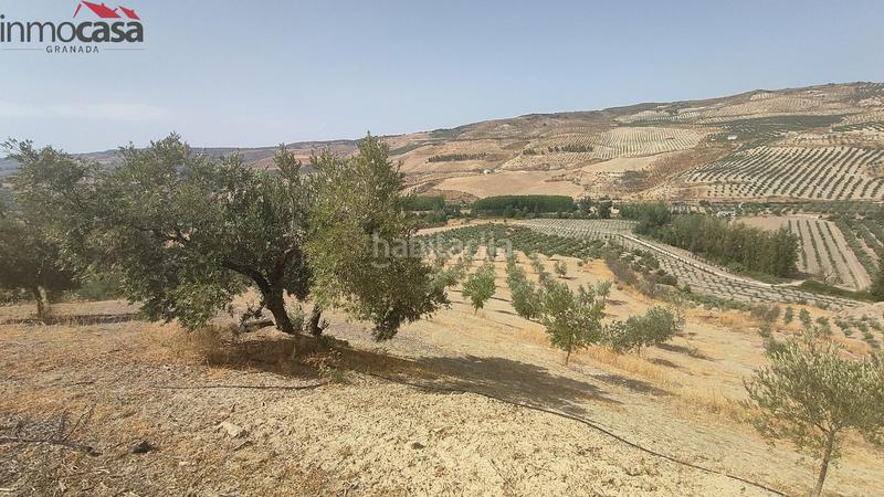 Foto 8ad36a8a-0948-4e1a-8c1f-3b2d8cc0e8cd. Propriété dans Santa Cruz del Comercio