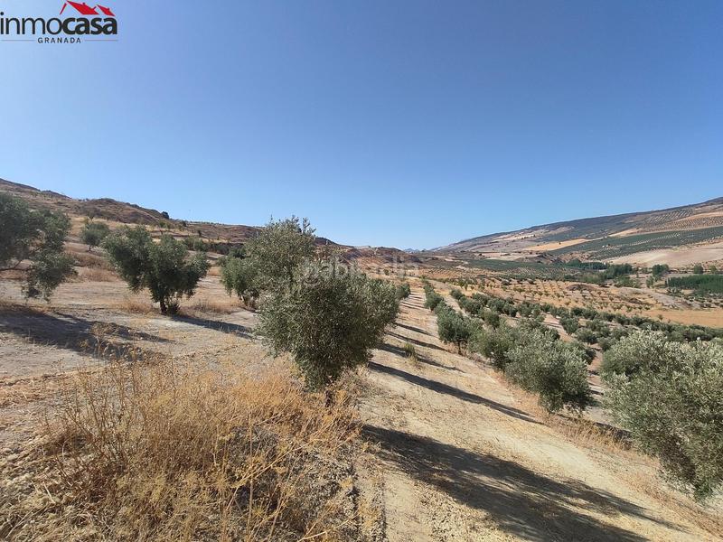 Foto 91344dff-e87e-4fa6-ac7c-b0fcdbaa8f67. Propriété dans Santa Cruz del Comercio