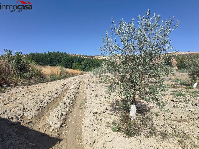 Foto 9e9935aa-3296-4995-a199-2102185262db. Propriété dans Santa Cruz del Comercio