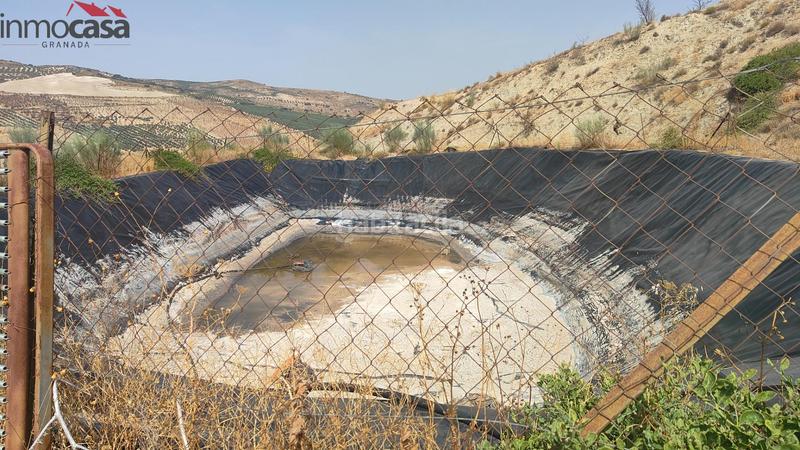 Foto a8d76043-10a4-4546-a6c0-dd69149f6f25. Propriété dans Santa Cruz del Comercio