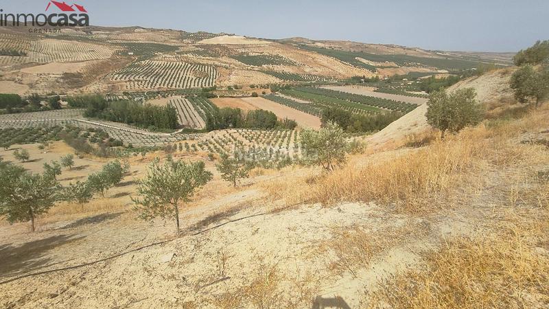 Foto d6e91e70-8bee-4516-864b-fa6bcc9a6600. Propriété dans Santa Cruz del Comercio