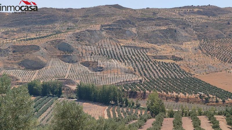 Foto f6e99eaf-4ca5-4cf9-91f0-b25673282ad7. Propriété dans Santa Cruz del Comercio