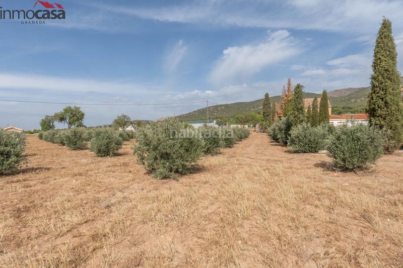 Foto 034daef3-50cd-4042-9107-ee3c4e840f8b. Chalet bienvenido al paraíso de la naturaleza en huescar, granada!!!!!!!!! en Huéscar