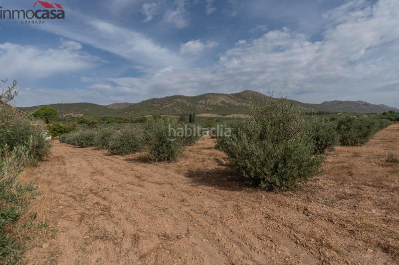 Foto 1b454a46-b303-48d3-8421-db0faa1332f3. Chalet bienvenido al paraíso de la naturaleza en huescar, granada!!!!!!!!! en Huéscar