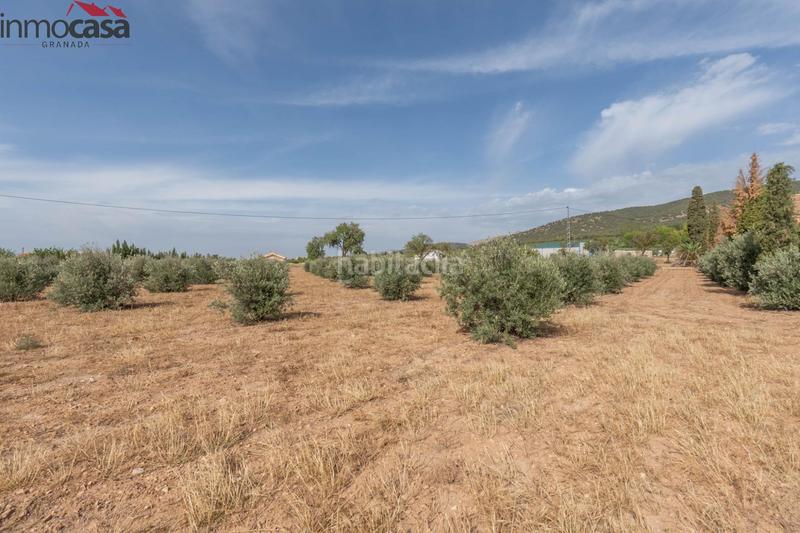 Foto 246701b5-b69f-424e-a433-b6557691e82e. Chalet bienvenido al paraíso de la naturaleza en huescar, granada!!!!!!!!! en Huéscar