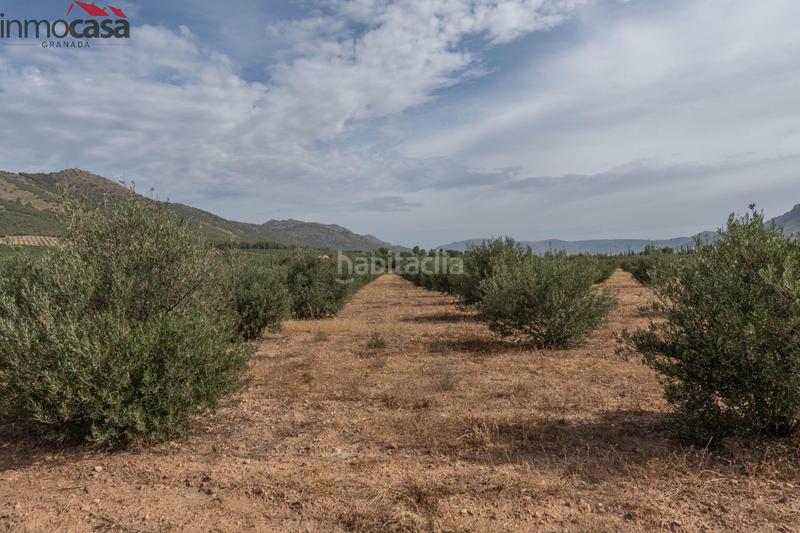 Foto 35111687-ebae-465f-b953-c992db2ed5f6. Chalet bienvenido al paraíso de la naturaleza en huescar, granada!!!!!!!!! en Huéscar