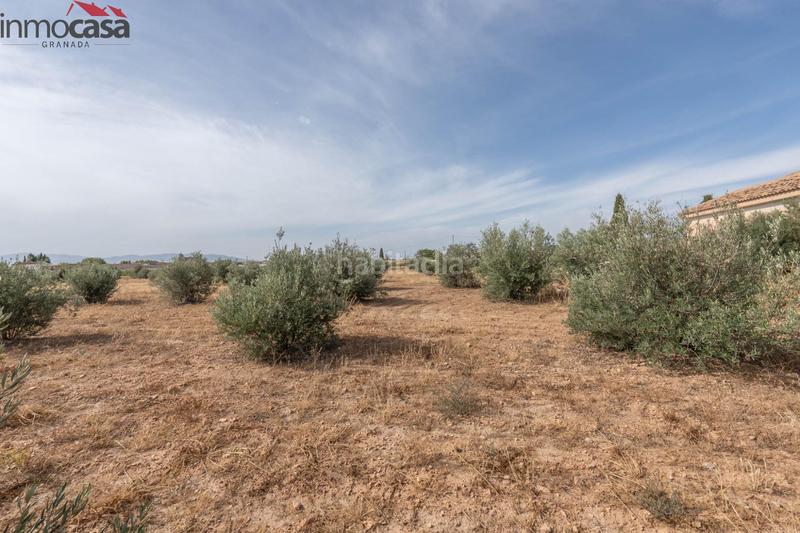 Foto 392ca486-725e-44ec-8fa4-dfba6b167c62. Chalet bienvenido al paraíso de la naturaleza en huescar, granada!!!!!!!!! en Huéscar