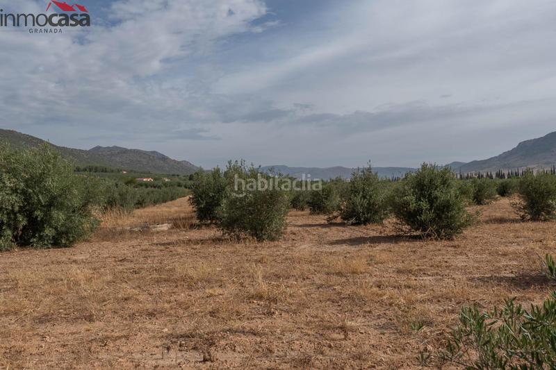 Foto 551b82de-bd45-4114-a7c1-34b6504d4842. Chalet bienvenido al paraíso de la naturaleza en huescar, granada!!!!!!!!! en Huéscar