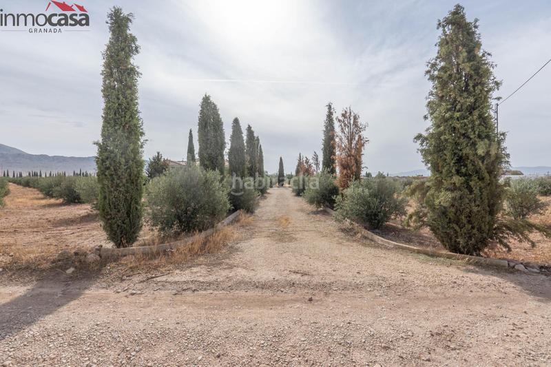 Foto 5f613a5a-741f-4ede-a8d9-475d25be776d. Chalet bienvenido al paraíso de la naturaleza en huescar, granada!!!!!!!!! en Huéscar