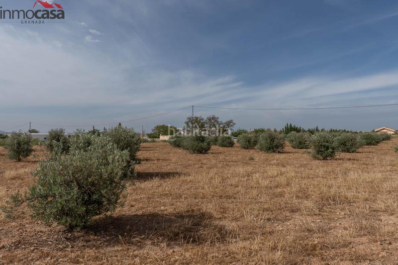 Foto 792d13b4-a62b-48ac-a3e2-8616c603a2dc. Chalet bienvenido al paraíso de la naturaleza en huescar, granada!!!!!!!!! en Huéscar