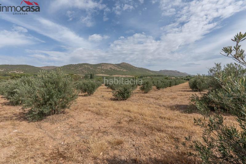 Foto 7f384f0d-8cfc-4a03-9a4b-a530c75a36b2. Chalet bienvenido al paraíso de la naturaleza en huescar, granada!!!!!!!!! en Huéscar