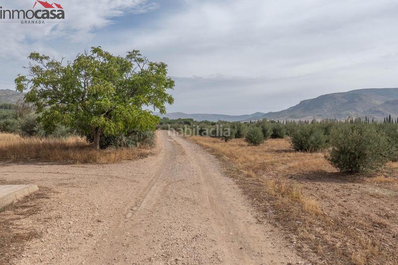 Foto 8079a78a-499c-4b2f-b539-6ce1cc0cb651. Chalet bienvenido al paraíso de la naturaleza en huescar, granada!!!!!!!!! en Huéscar