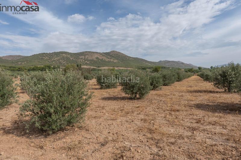 Foto 8930546d-d8db-4722-b9c7-b92e0bd675e2. Chalet bienvenido al paraíso de la naturaleza en huescar, granada!!!!!!!!! en Huéscar